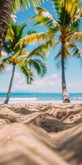 Fototapeta premium Palm Tree Canopy Over Soft Sand Beach on Sunny Summer Day