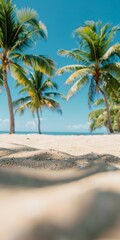 Obraz premium Soft Focus Beach View With Palm Trees on Sunny Summer Day