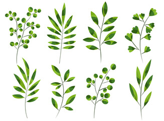 Green branches with leaves vector illustration set