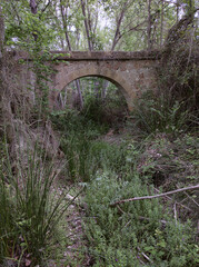 old stone bridge in the province of Alicante in Spain.  vertical shot