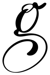 Vector calligraphy hand drawn letter G logo. Script font. Handwritten brush style