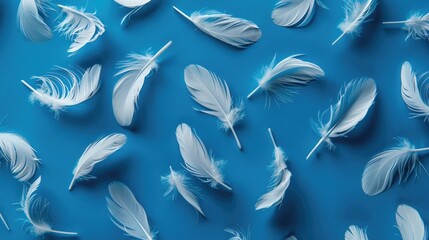 Pattern of feathers on blue backdrop