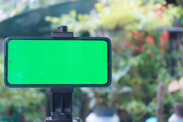 Smartphone taking  video on tripod with chroma key or green screen