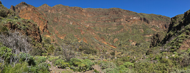 Landscape in Barranco de Guayadeque on Gran Canaria,Canary Islands,Spain,Europe
