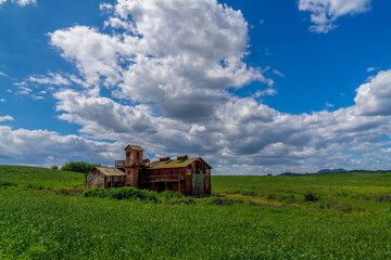 Fototapeta premium 목장풍경