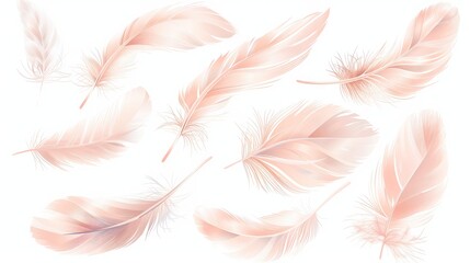 peach pink delicate air soft feather Feather on white backgroun Set of realistic vector goose or swan feathers of various shapes. Ecological feather filler for pillows, blankets