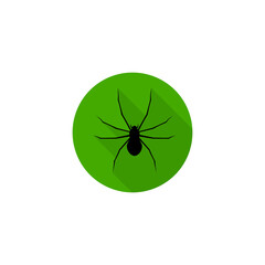 Spider icon isolated on transparent background