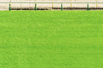 札幌競馬場　芝コース © pepmint