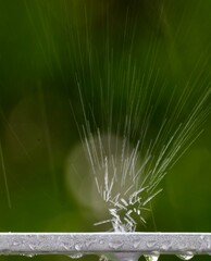 Raindrop Exploding on Surface 