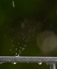 Rain drops on Surface 