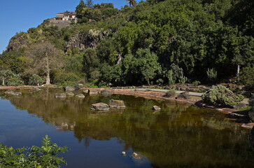 Pond in botanical garden Jardin Botanico Canario Viera y Clavijo on Gran Canaria,Canary Islands,Spain,Europe
