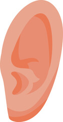 Detailed vector illustration of human ear anatomy on a white background, isolated and with a clean, simple design, perfect for medical, healthcare, and educational purposes