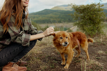 Woman enjoying a peaceful moment with her loyal dog in a serene mountain landscape surrounded by...