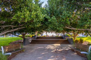 An inviting public landscaped park with a wide concrete pathway flanked by wooden benches. The footpath leads to wooden steps, shaded by large, lush green trees with dense foliage forming a canopy.