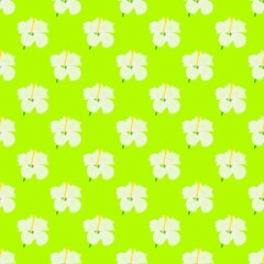 seamless pattern with flowers