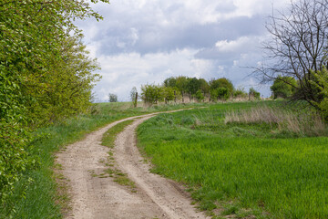 Winding Dirt Road leading to the top of the hill  | Kręta polna droga prowadząca na szczyt wzgórza