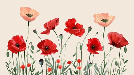 Obraz premium Beautiful digital illustration of red and peach poppies in full bloom against a light background