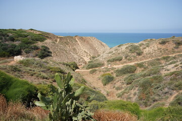Naklejka premium Descent to the sea. Mediterranean. Prickly pear cactus in the foreground