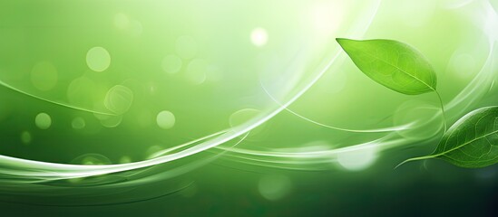 Abstract plant swirl green leaf on bokeh background environment concept Concept of environmental protection. Creative banner. Copyspace image