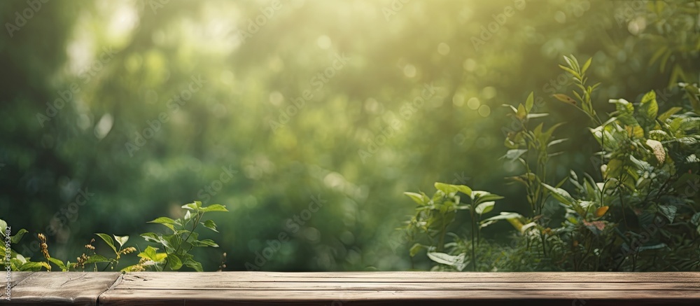 Poster empty table on nature blurred background. creative banner. copyspace image