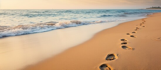 Footprints in the sand on a beach. Creative banner. Copyspace image