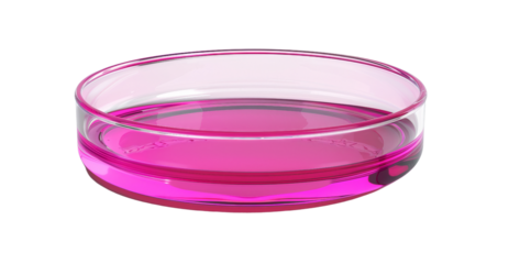 A transparent petri dish filled with pink liquid, used in laboratory settings for scientific research and experiments.