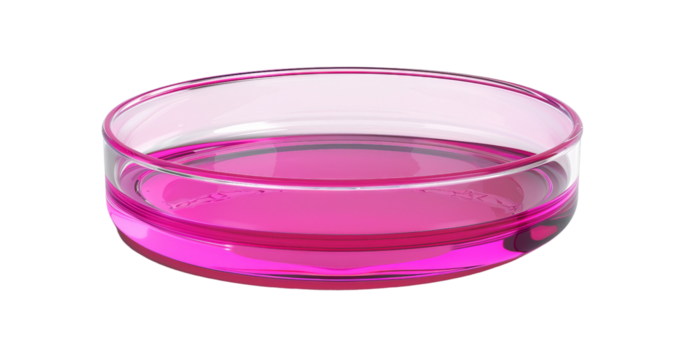 A transparent petri dish filled with pink liquid, used in laboratory settings for scientific research and experiments.