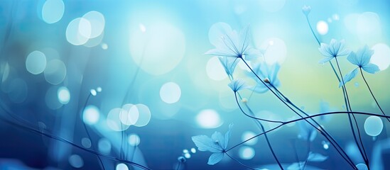 Blue bokeh on defocus in the nature for art abstract blurred background or texture. Creative banner. Copyspace image