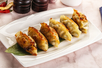 Fried Japanese stuffed dumplings - Gyoza