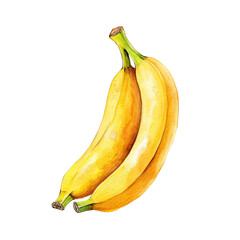 Watercolour Illustration of Banana