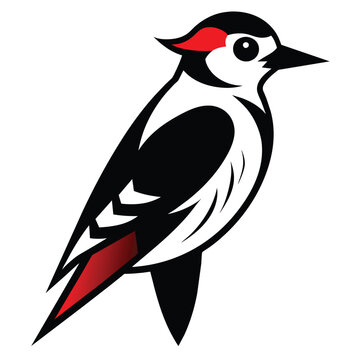 recommend clip art: Solid color Downy Woodpecker animal vector design