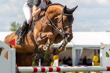 Horse Jumping, Equestrian Sports, Show Jumping themed photo.