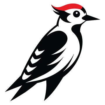recommend clip art: Solid color Downy Woodpecker animal vector design