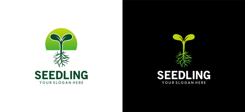 Green seedling logo design, icon symbol of a small plant with roots growing naturally