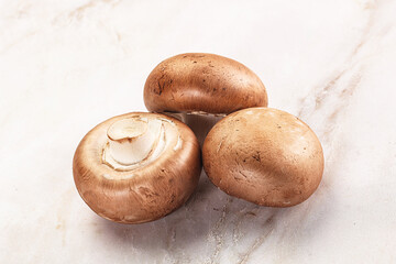 Raw brown champignon for cooking