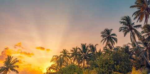 Copy space of silhouette palm trees sun rays sunlight on sunset sky, summer abstract tourism...