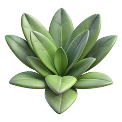 Sage Hyperrealistic Highly Detailed Isolated On Transparent Background Png File