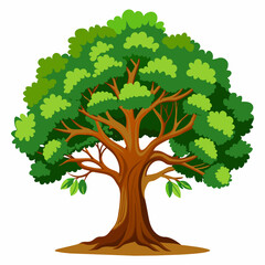 oak-tree vector