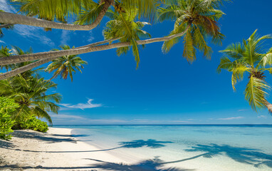 Perfect island beach coast. Tropical travel landscape of summer paradise. White sand palm trees sunny blue sea sky. Luxury vacation destination. Exotic amazing tourism relax. Freedom Maldives nature