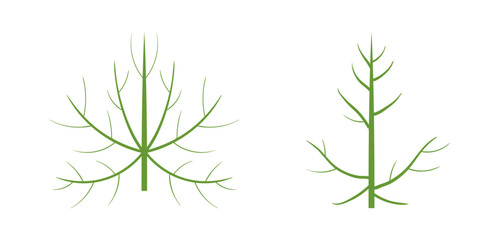 leaf fiber icon