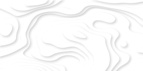 Abstract white paper cut background with lines. Background of the topographic map. White wave paper curved reliefs abstract background. Realistic papercut decoration textured with wavy layers.