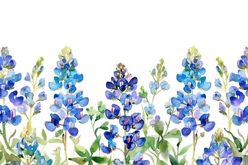 Bluebonnet, watercolor floral border, watercolor illustration, isolate on white background,