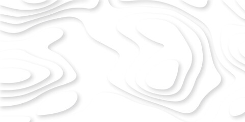 Abstract white paper cut background with lines. Background of the topographic map. White wave paper curved reliefs abstract background. Realistic papercut decoration textured with wavy layers.