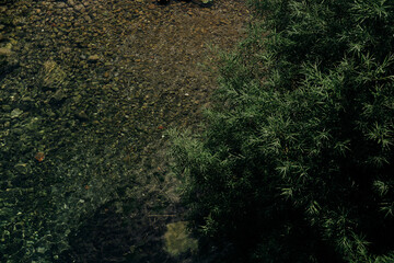 A clear, transparent mountain river in Montenegro, in the old town of Bar. Top view. A small lake in green forest with clear water and a stone bottom.