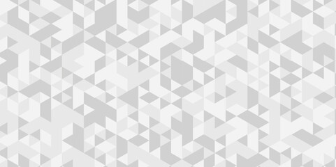 Modern abstract geometric polygon background. Abstract polygon triangle background vector illustration. White and gray Polygon Mosaic Background.