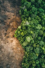 A dramatic aerial view of deforestation contrasting lush green rainforest and barren land, highlighting environmental impact and ecological imbalance.
