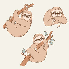 set of sloth characters, vector cartoon