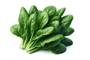 Fresh mustard greens leaves isolated