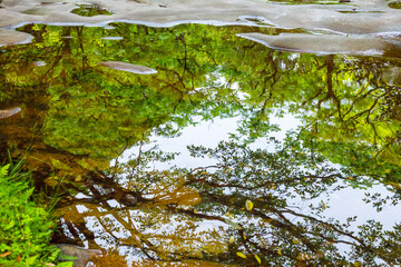春の甌穴郡がある渓谷の風景 鳥取県 赤波川渓谷