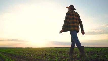 The farmer works in the field of corn. agriculture a business concept. The silhouette farmer walk...